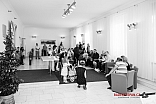 IMG 5317