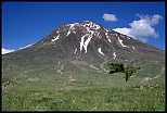 IMG 5886