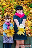 IMG 7781