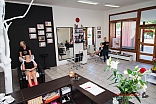 IMG 4164