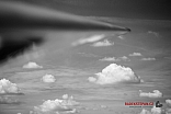 IMG 0388