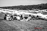 IMG 0582