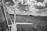 IMG 1239