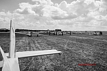 IMG 1258