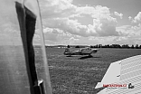 IMG 1306
